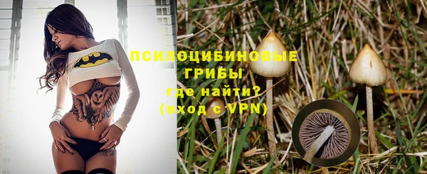 mix Билибино