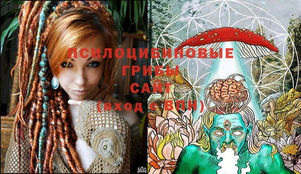стафф Бикин